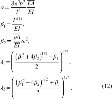 Equation (12)