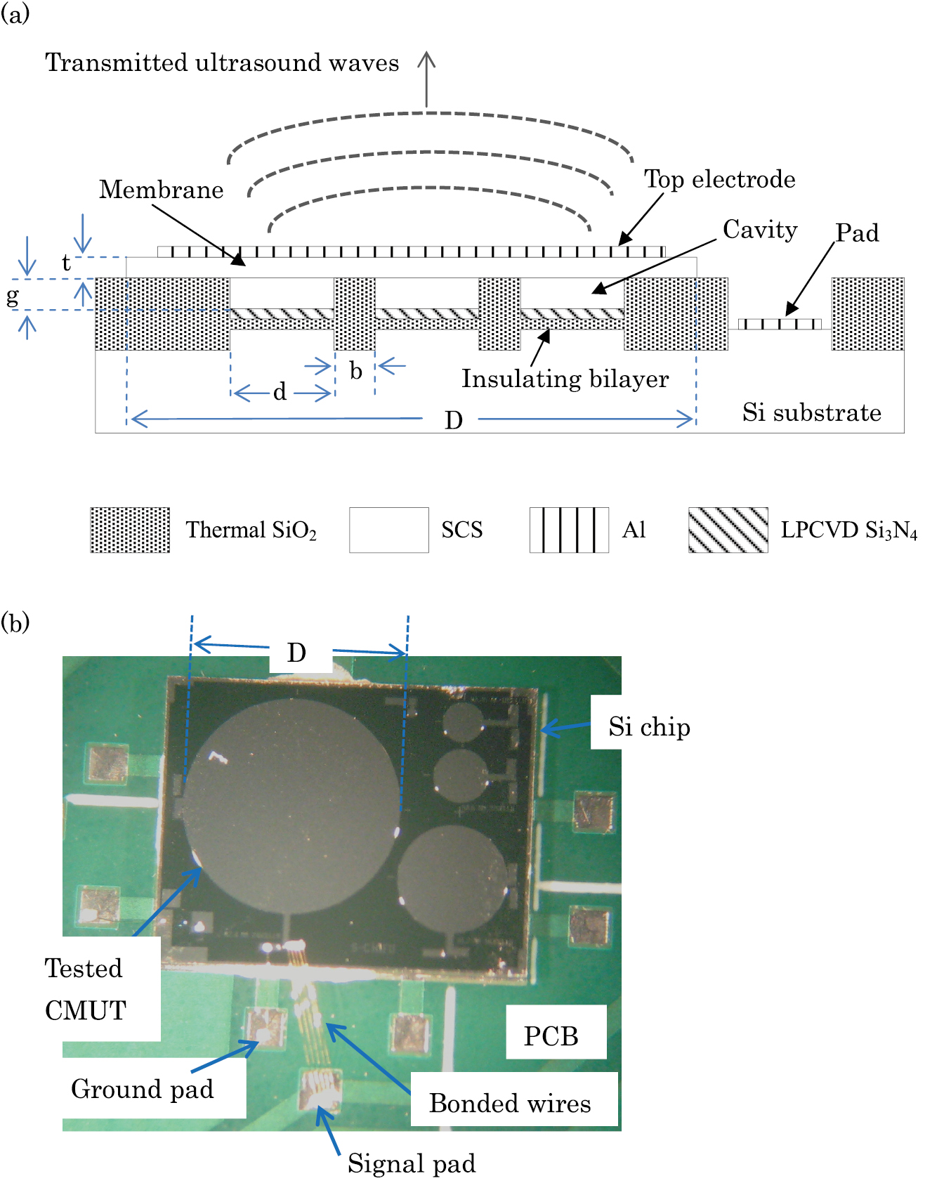Cmut Chip Acoustic lens for capacitive micromachined ultrasonic transducers ...