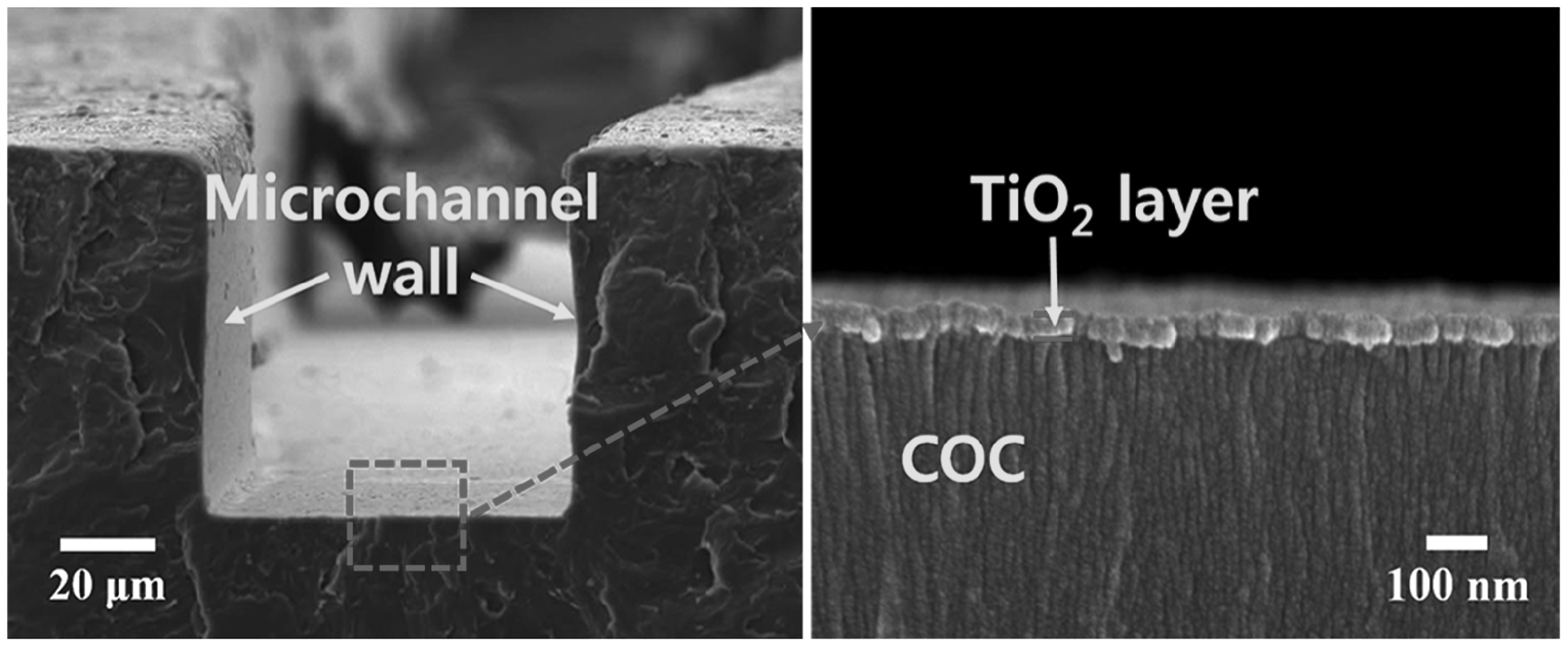 Micronized Tio2 TiO2 coated microfluidic devices for recoverable hydrophilic and ...