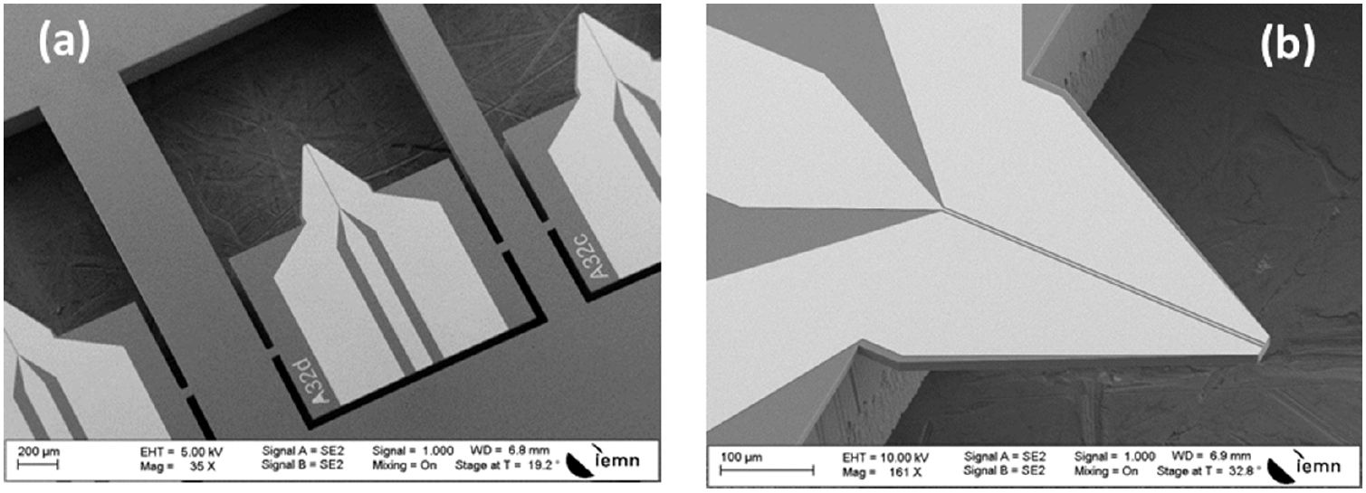MEMS probes for on-wafer RF microwave characterization of future ...