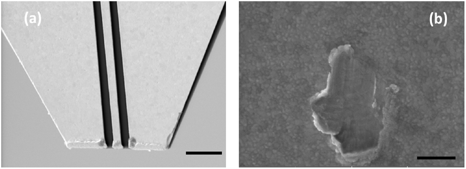 MEMS probes for on-wafer RF microwave characterization of future ...