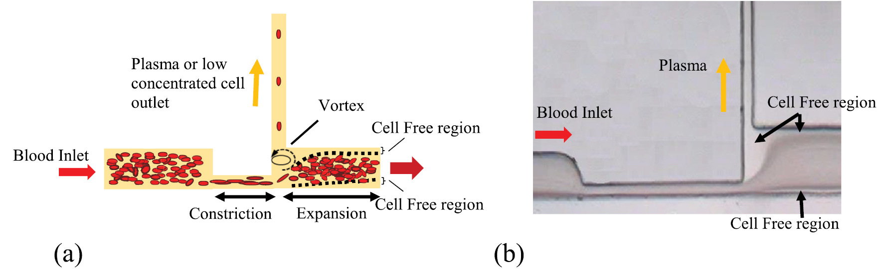 Passive blood plasma separation at the microscale: a review of design ...