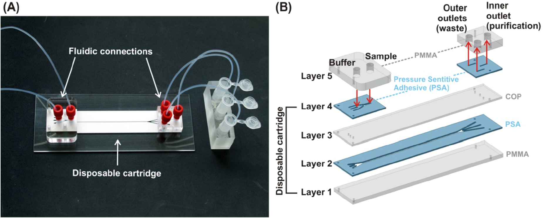 Purification of microalgae from bacterial contamination using a ...
