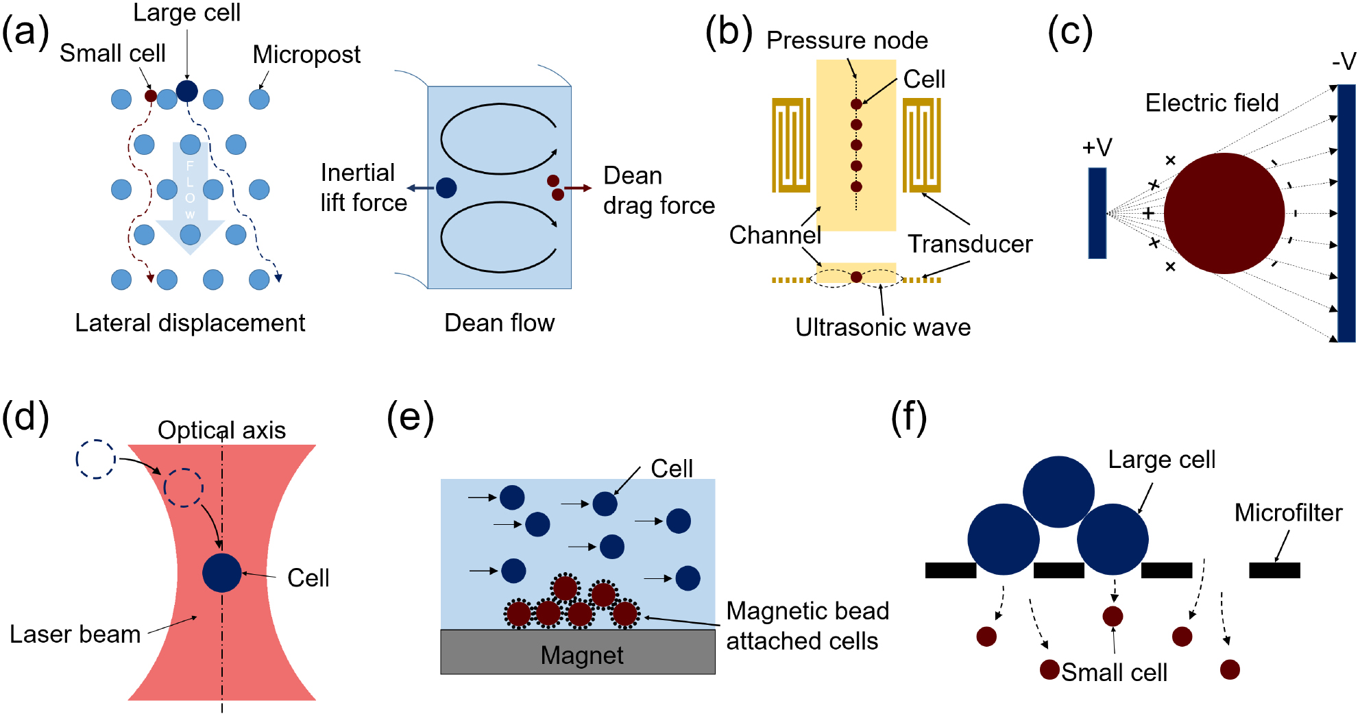 Separation and sorting of cells in microsystems using physical ...