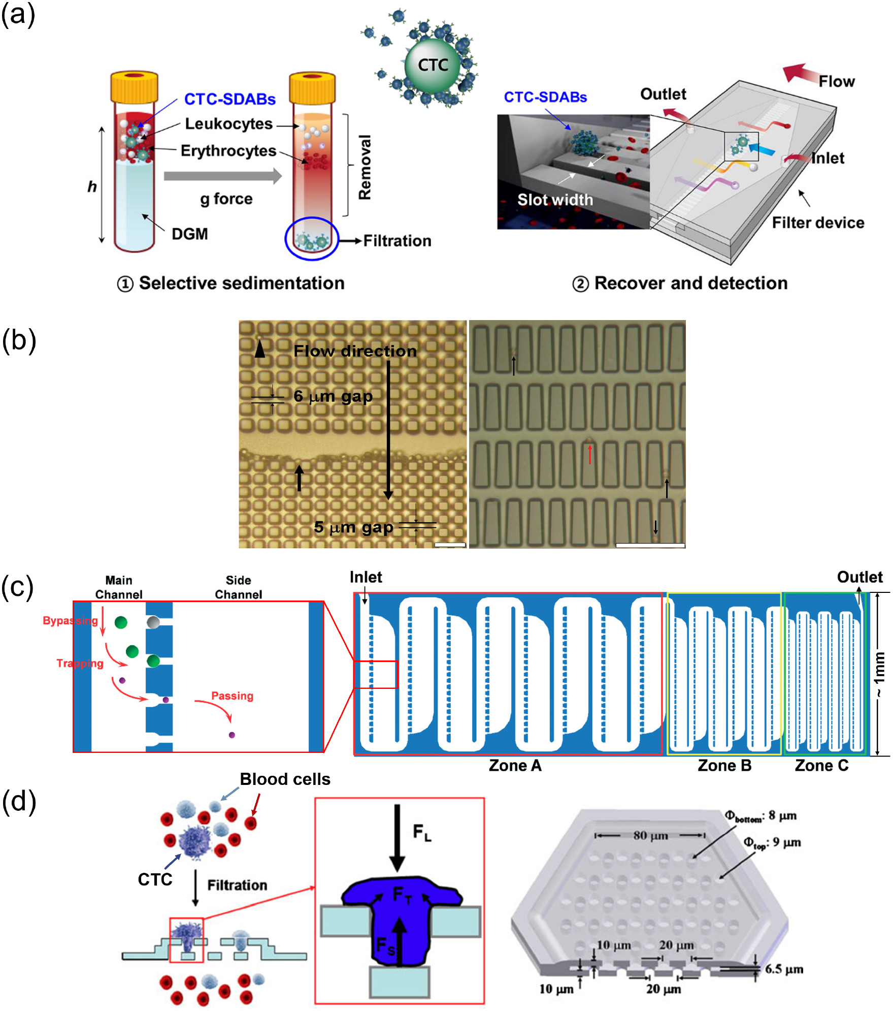 Separation and sorting of cells in microsystems using physical ...