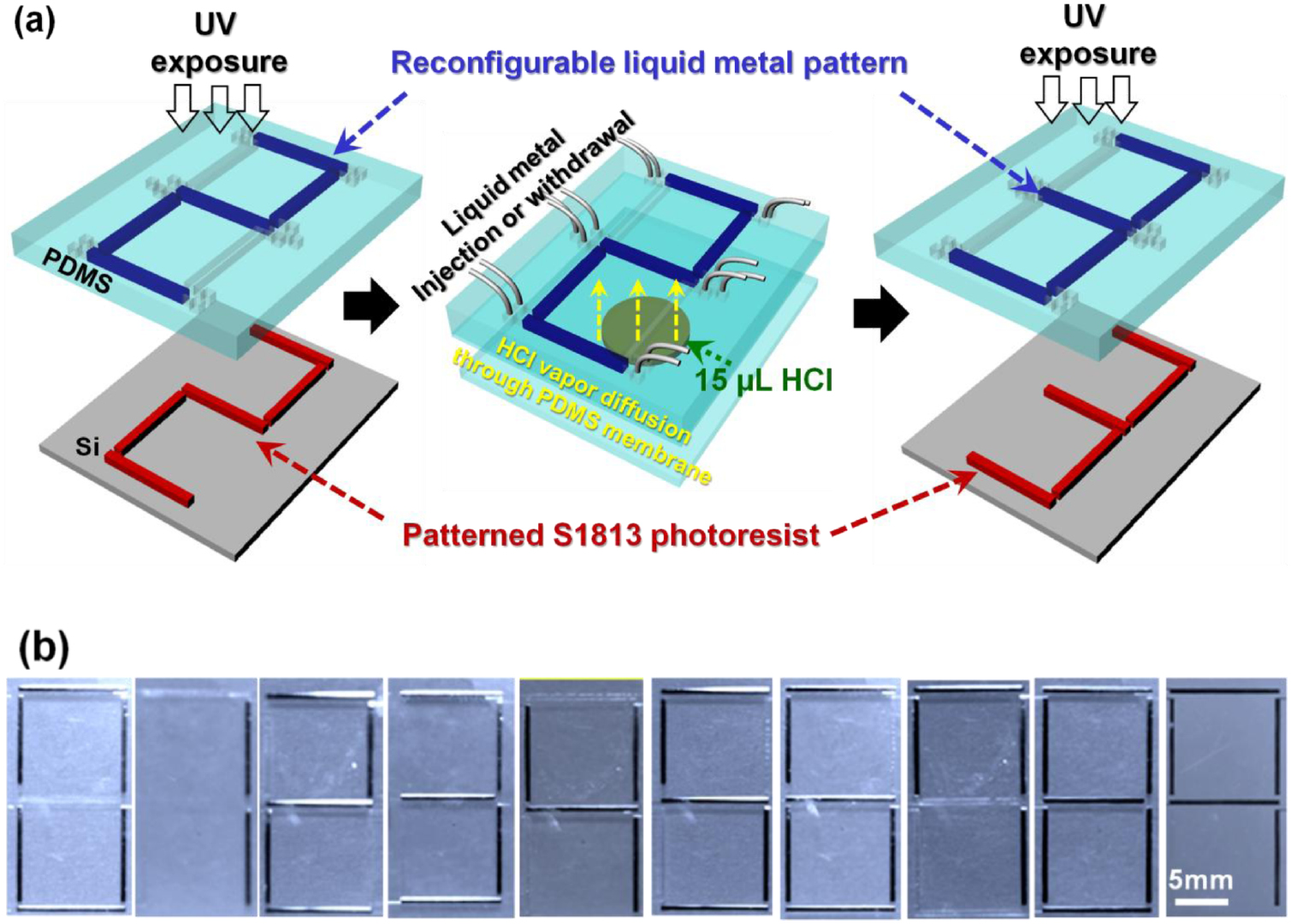 Liquid metal-based reconfigurable and stretchable photolithography ...