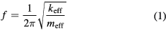 Equation (1)