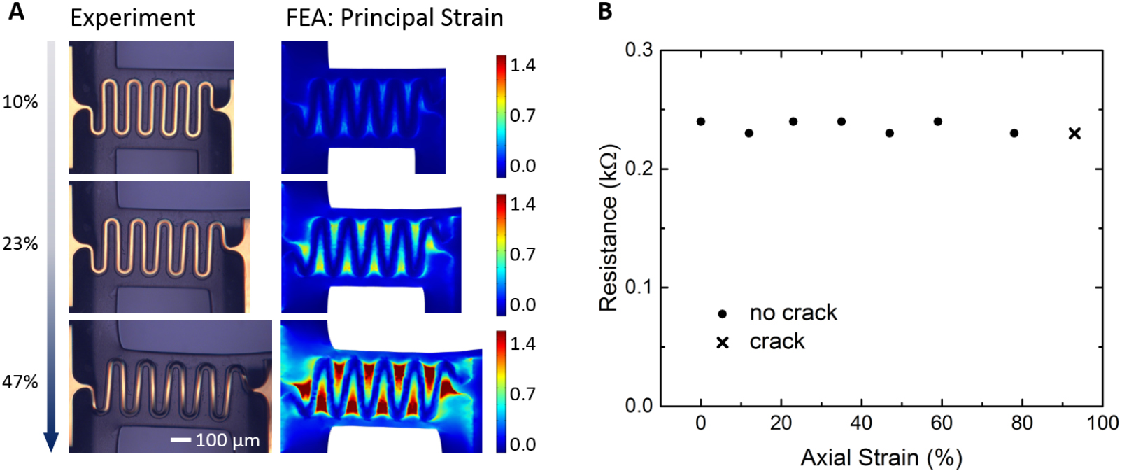 A spring-mass system with elastomeric beams and stretchable ...