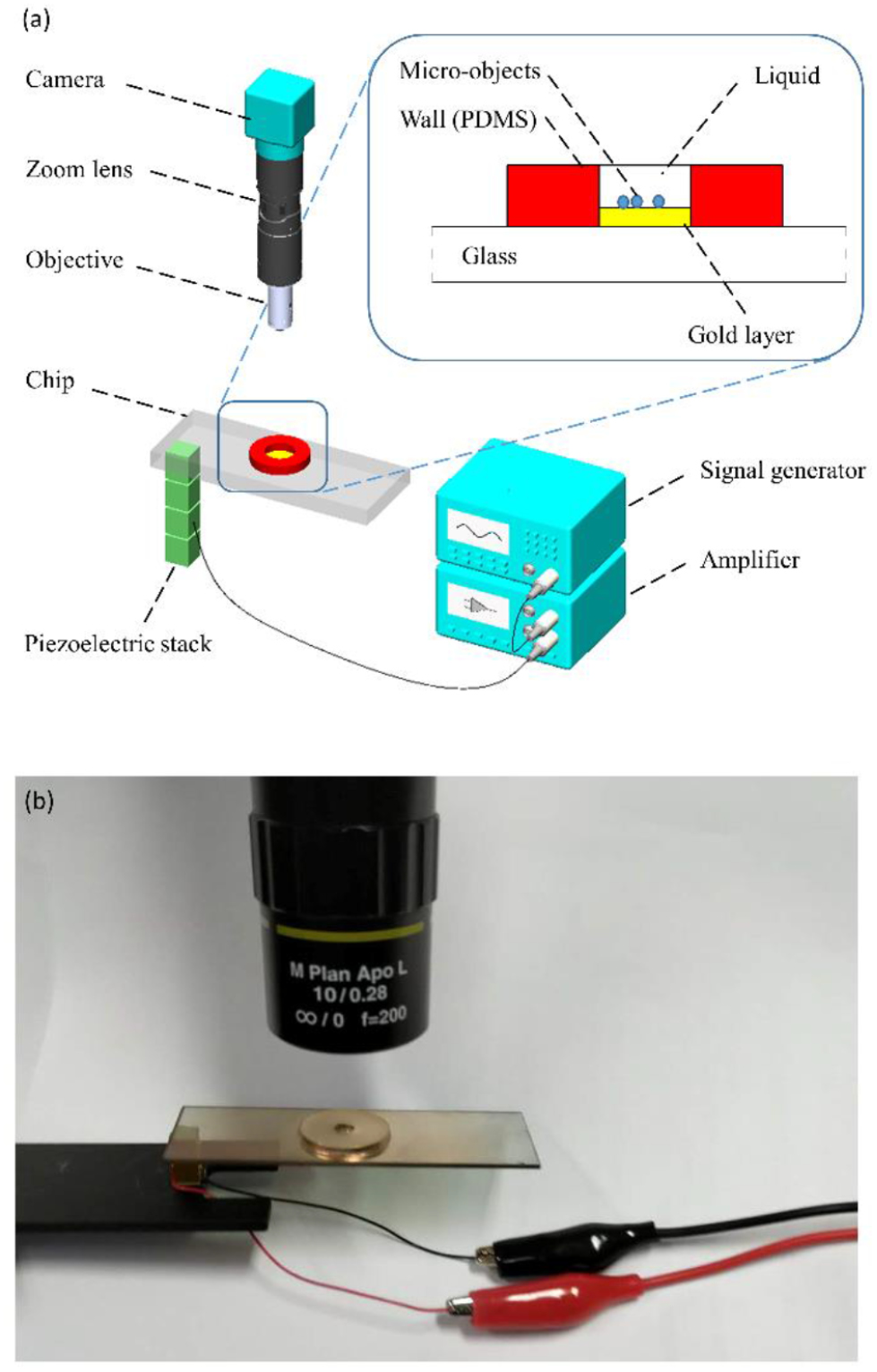 Assembly and movement control of micro-objects in open chips using a ...