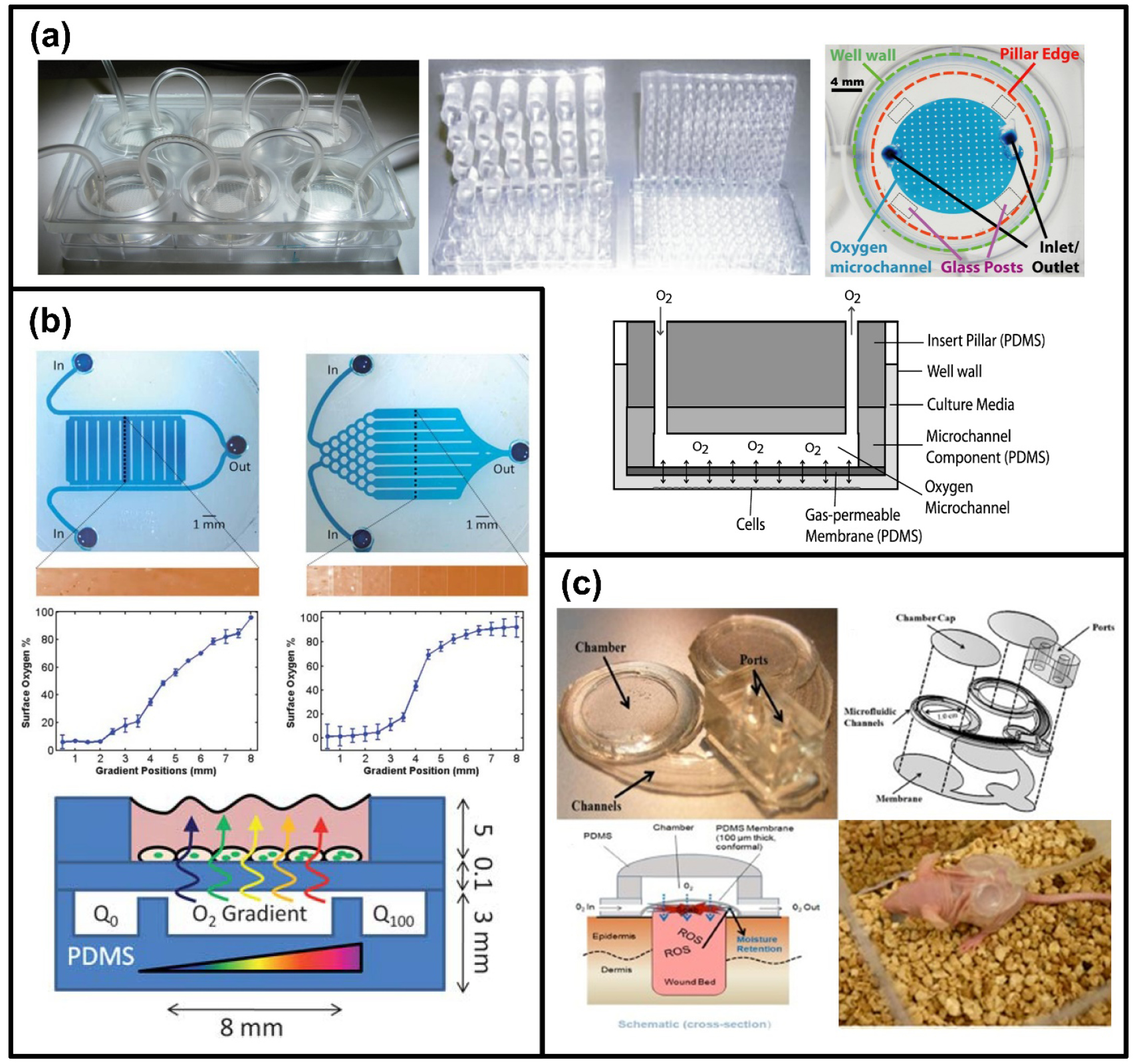 Review of microfluidic cell culture devices for the control of gaseous ...