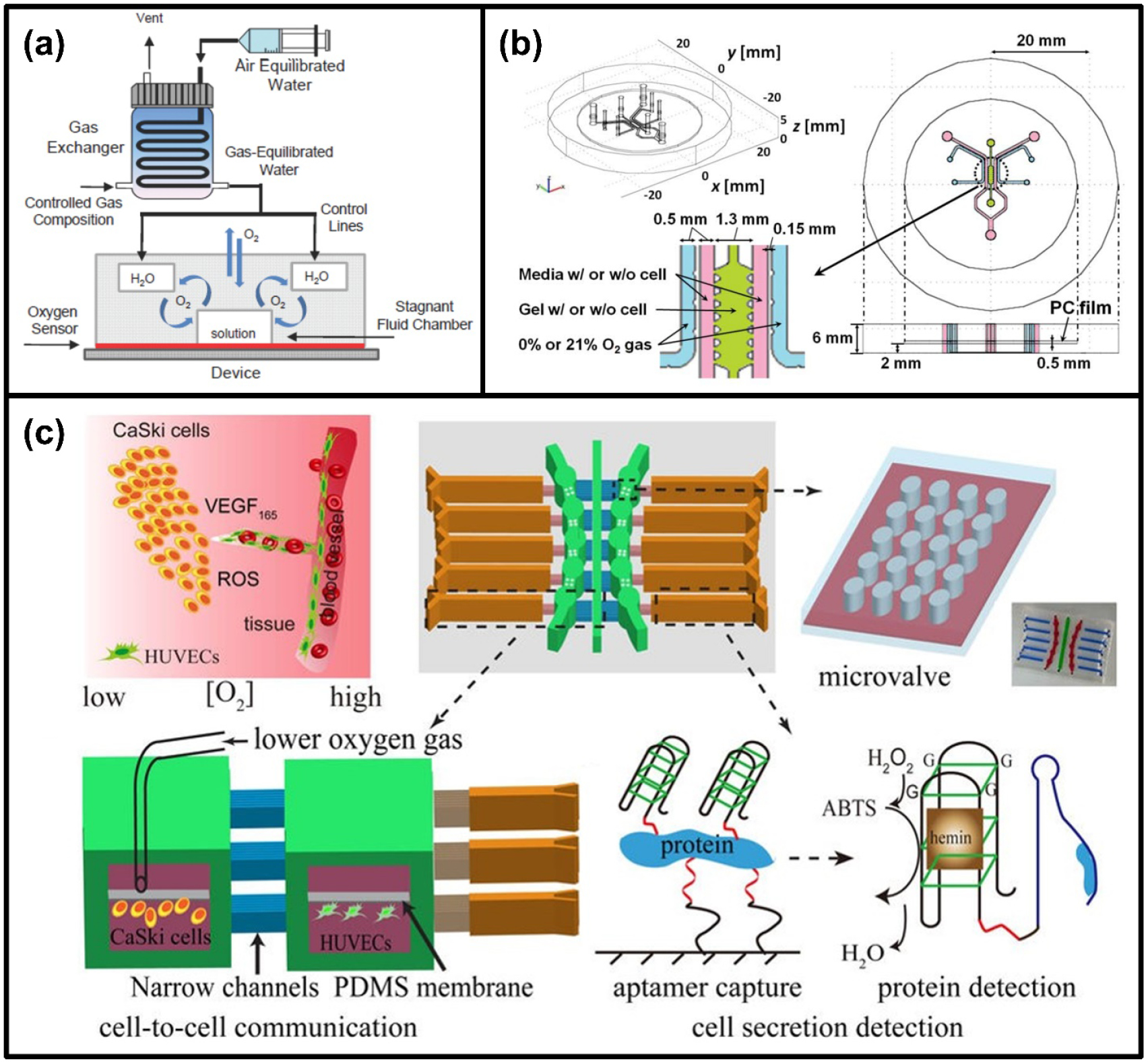 Review of microfluidic cell culture devices for the control of gaseous ...