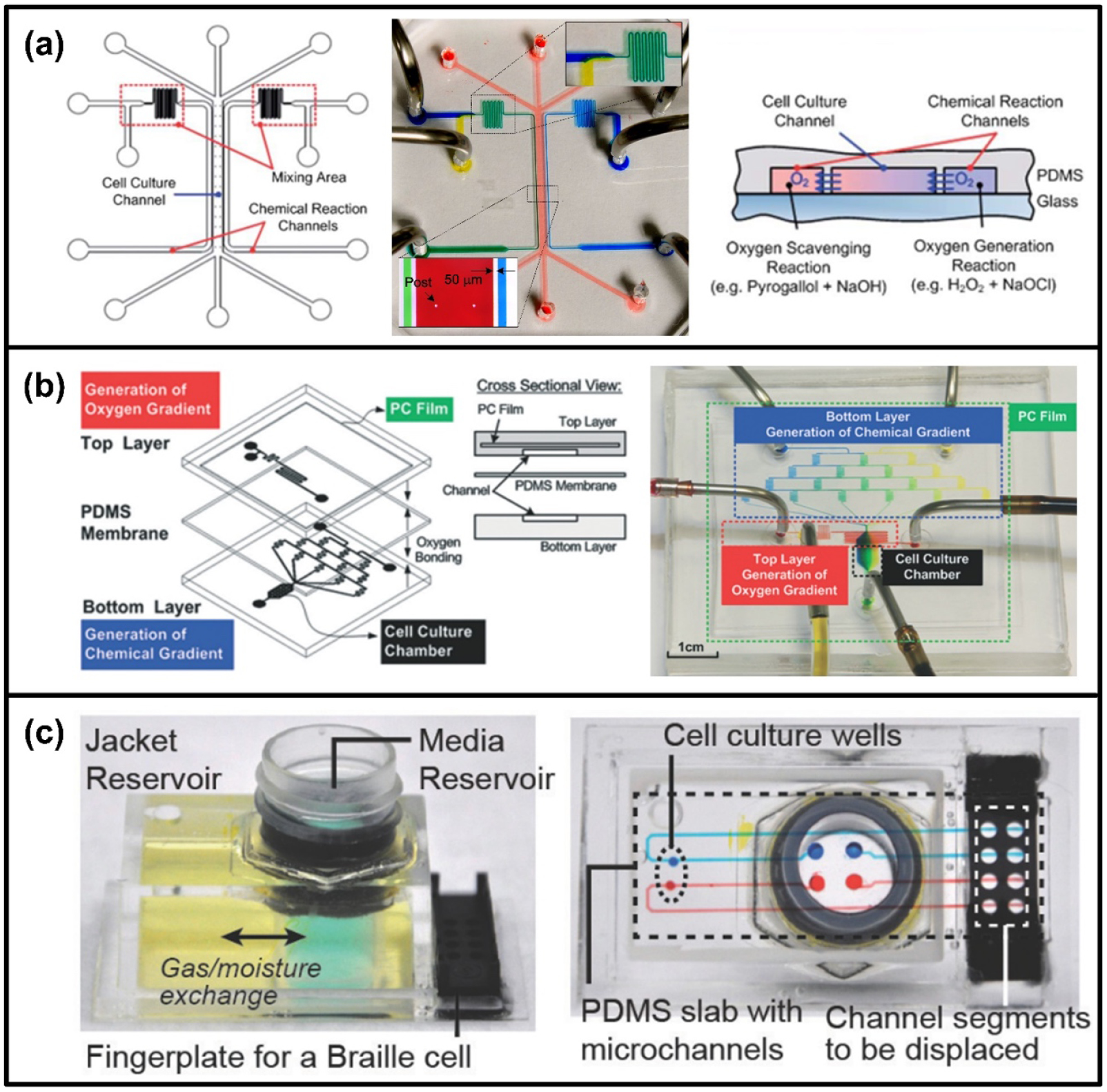 Review of microfluidic cell culture devices for the control of gaseous ...