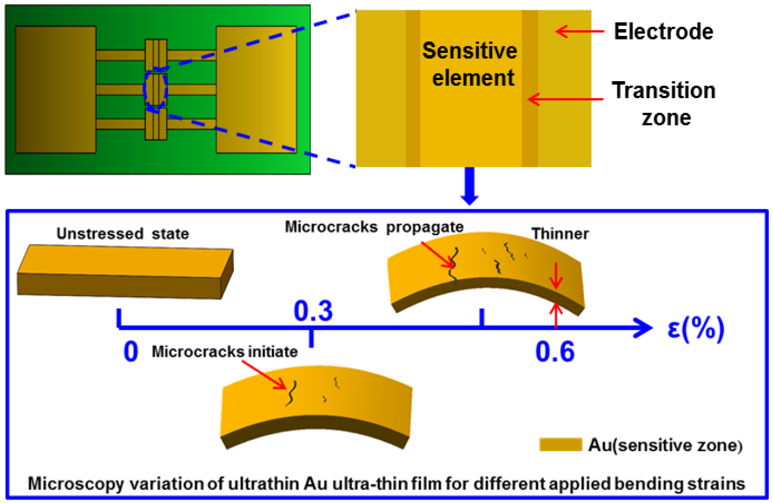 Highly sensitive and flexible strain sensor based on Au thin film ...