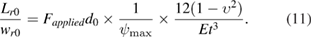 Equation (11)