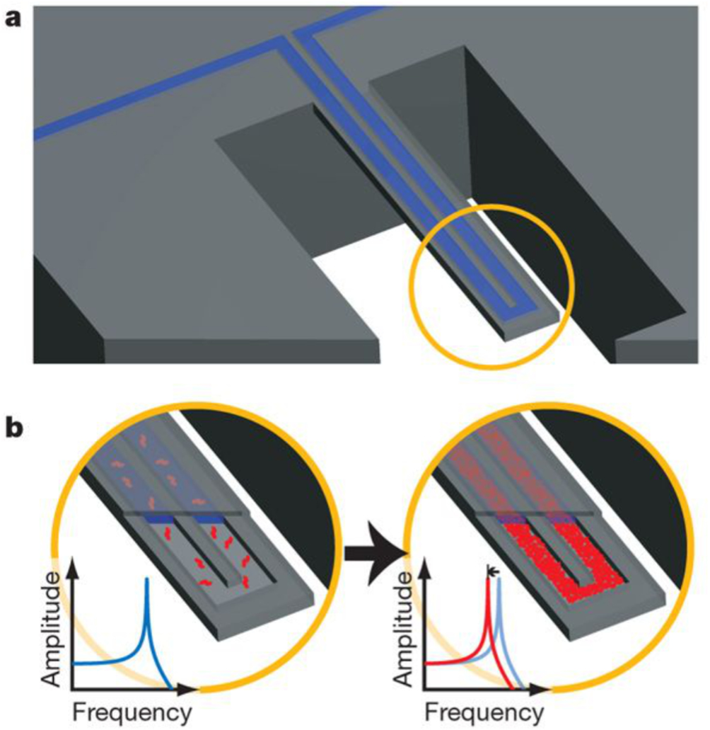 Vibrational modes in MEMS resonators - IOPscience