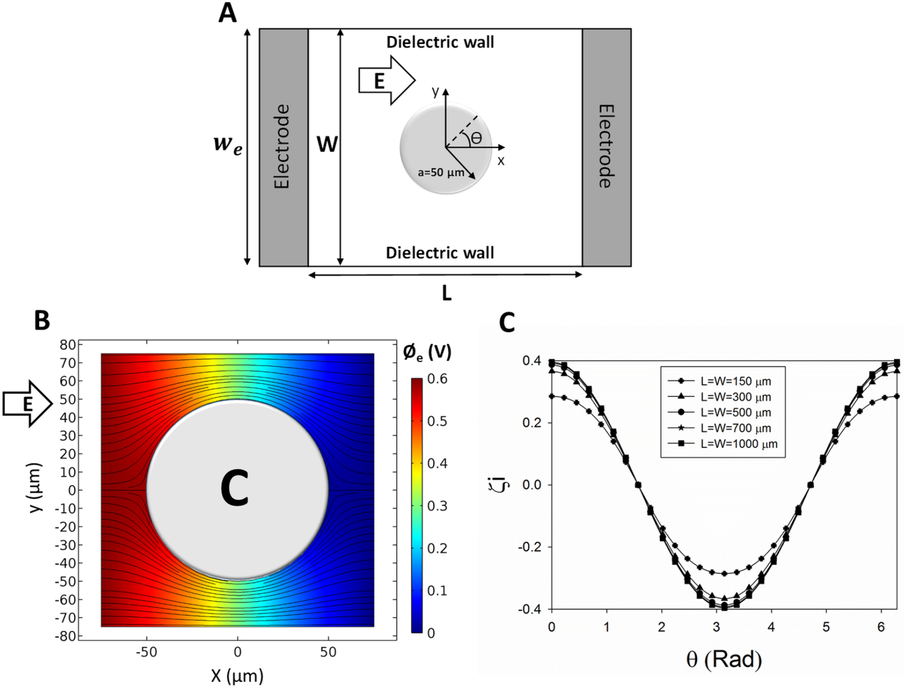 Numerical analysis of non-uniform electric field effects on induced ...