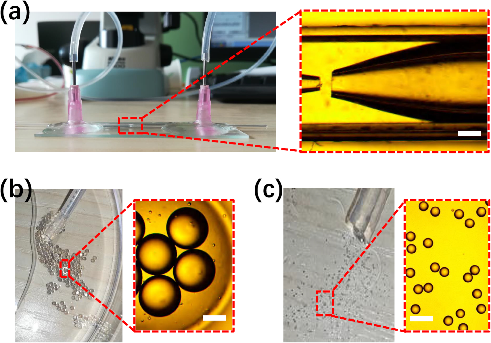 Easy-to-operate fabrication of tapered glass capillaries for ...