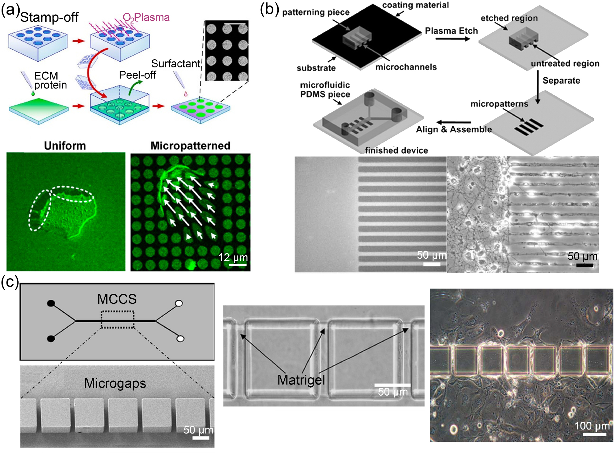 Design criteria and standardization of a microfluidic cell culture ...