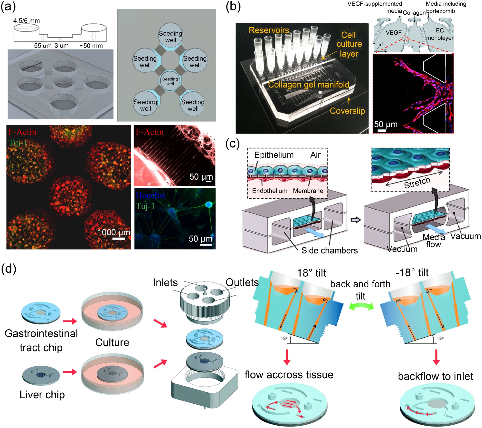 Design criteria and standardization of a microfluidic cell culture ...