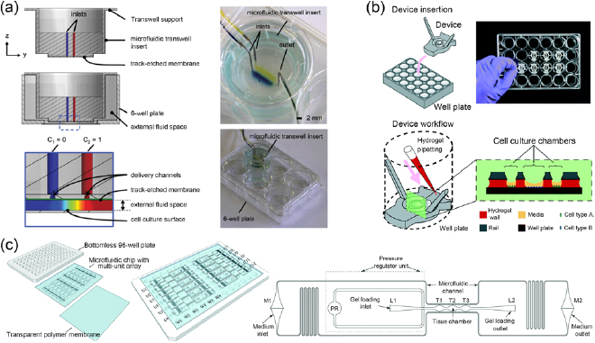 Design criteria and standardization of a microfluidic cell culture ...