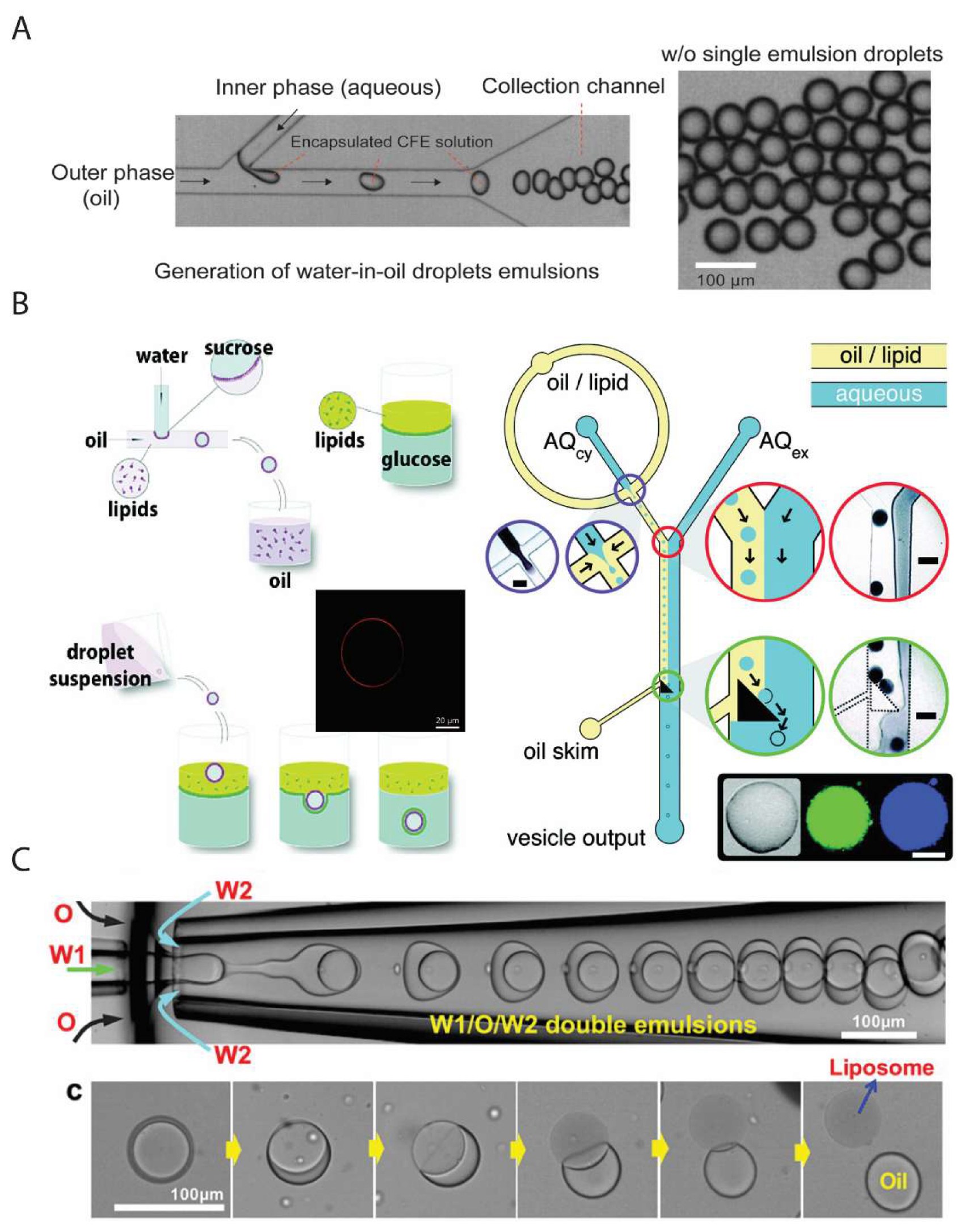Emulsion Microencapsulate Encapsulation of complex solutions using droplet microfluidics towards ...