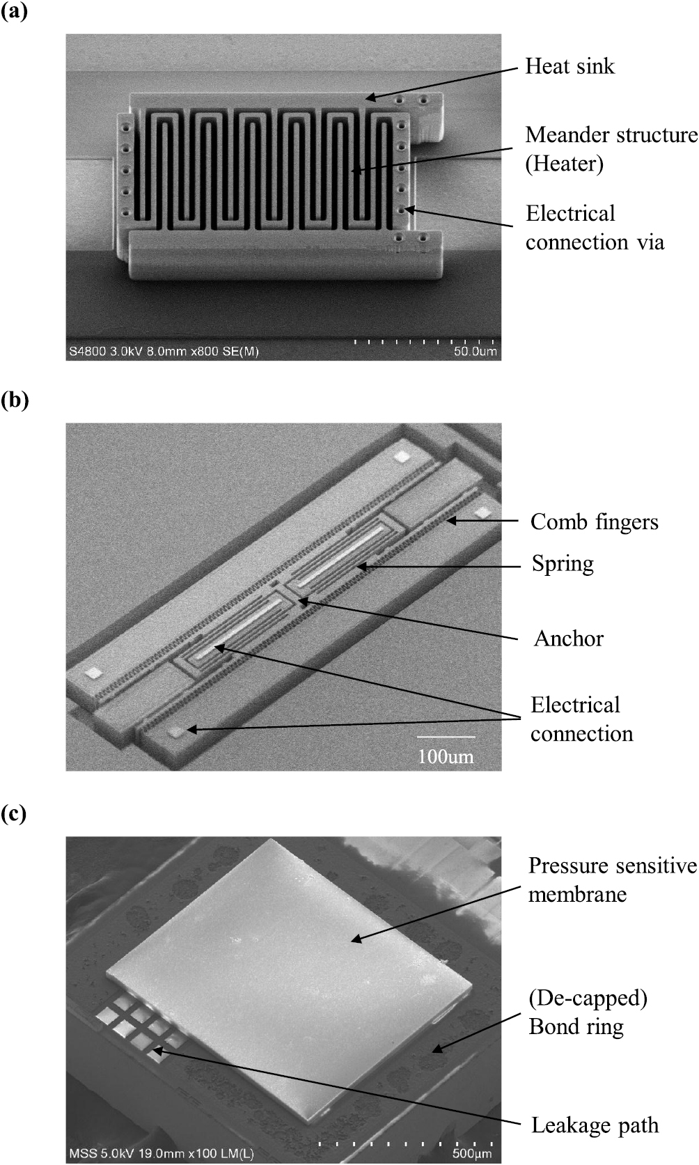 Design and implementation of monolithically integrated sealed and ...