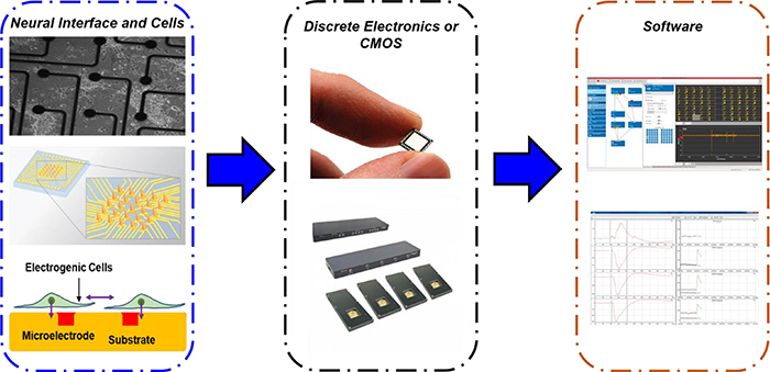 Development of in vitro 2D and 3D microelectrode arrays and their role ...