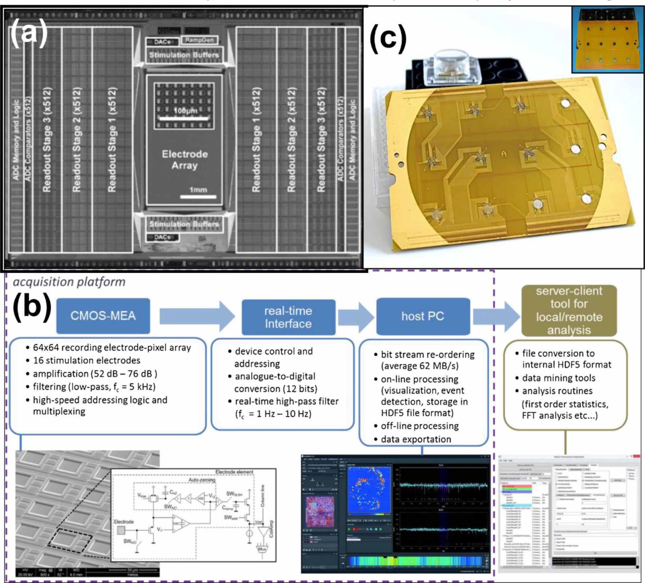 Development of in vitro 2D and 3D microelectrode arrays and their role ...