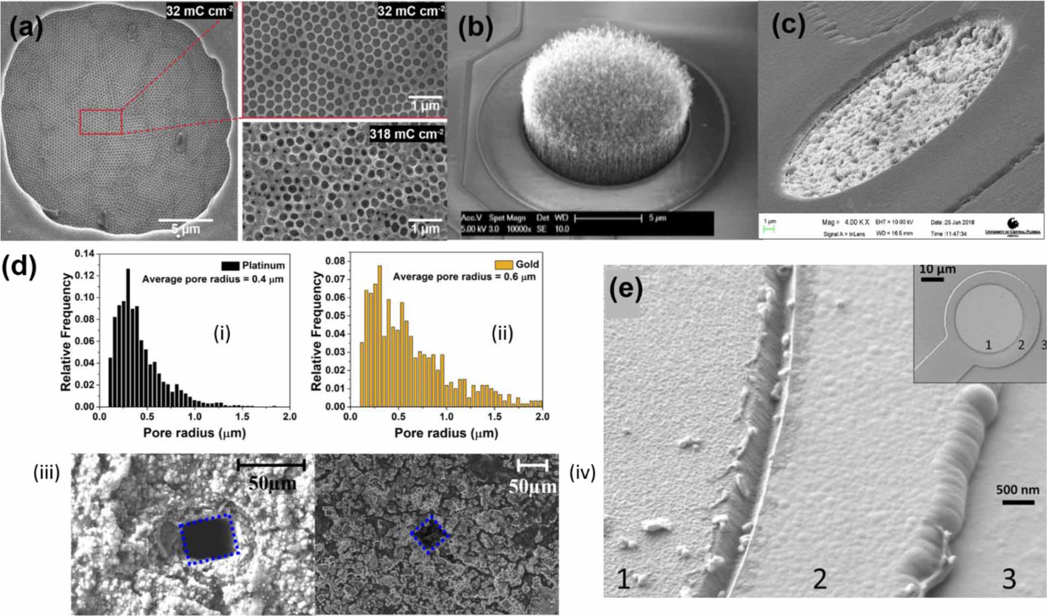 Development of in vitro 2D and 3D microelectrode arrays and their role ...
