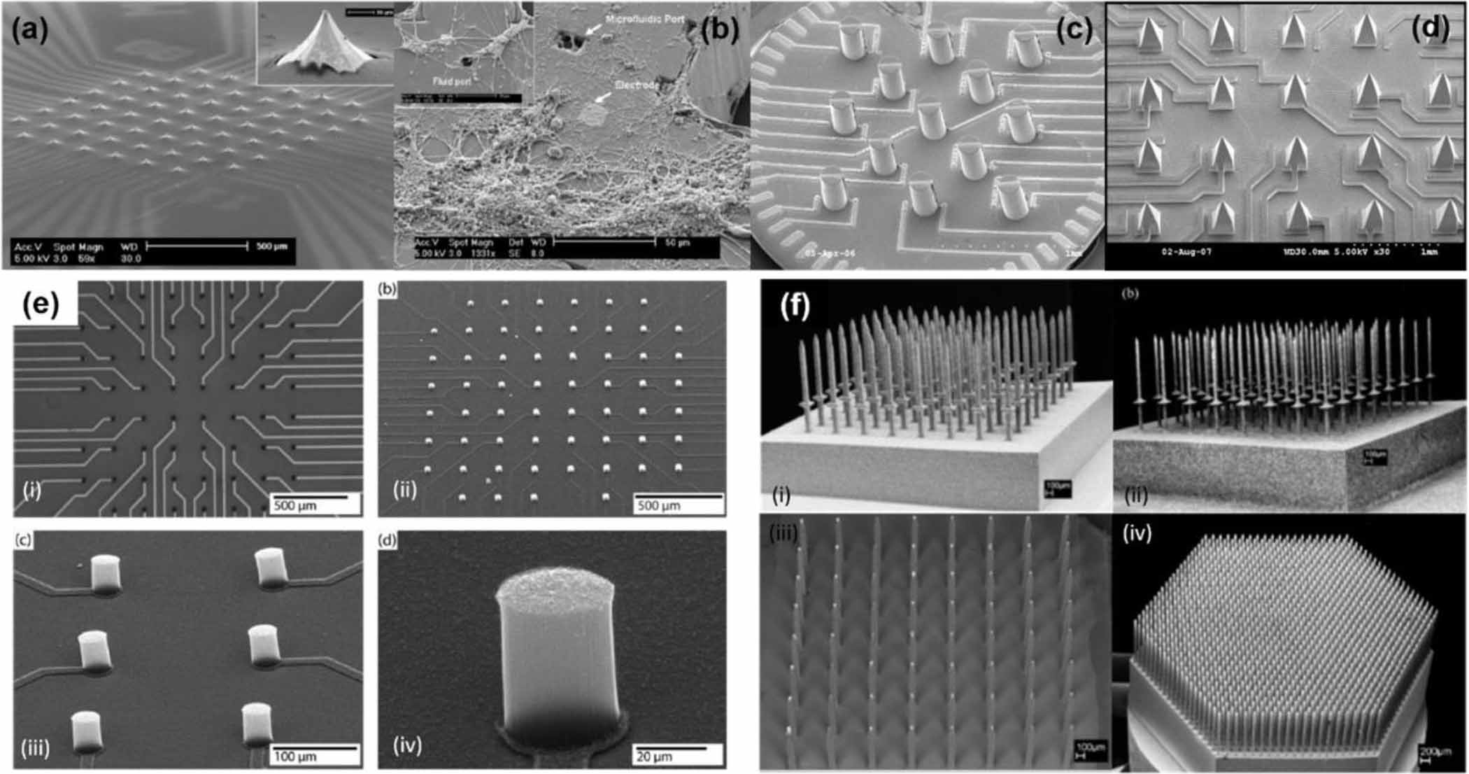 Development of in vitro 2D and 3D microelectrode arrays and their role ...