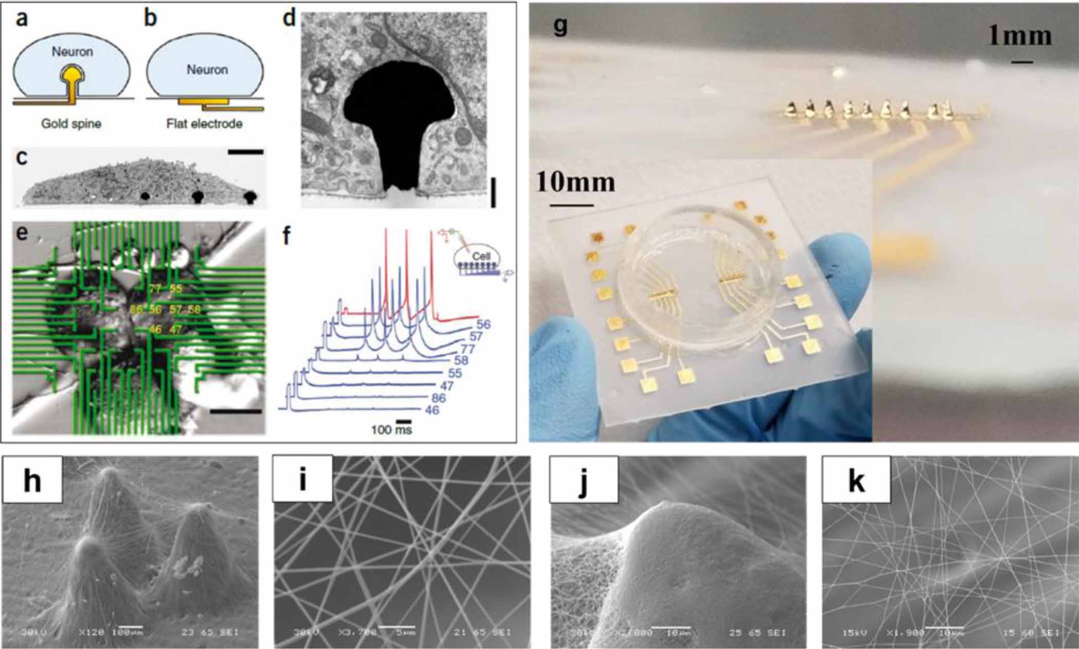 Development of in vitro 2D and 3D microelectrode arrays and their role ...