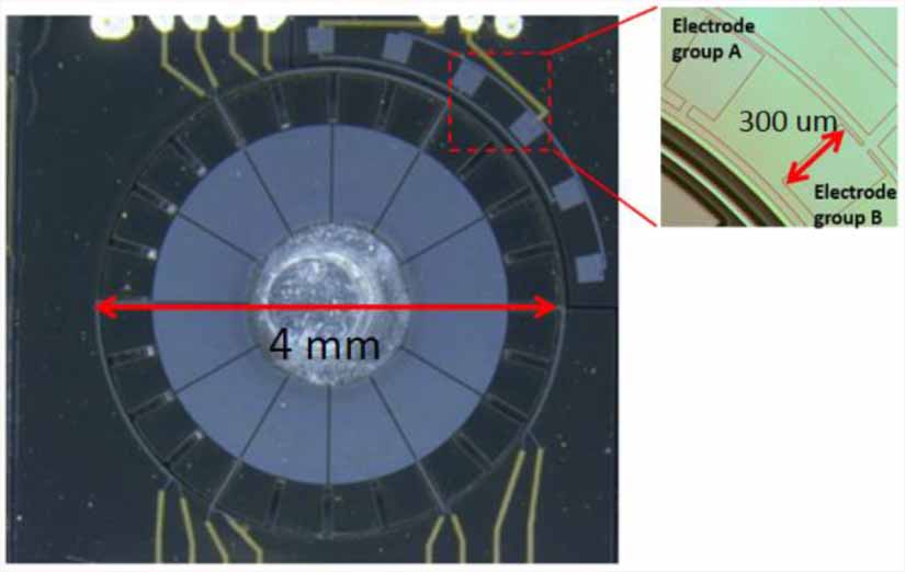 Precise stepping control of a piezoelectric traveling wave micromotor ...