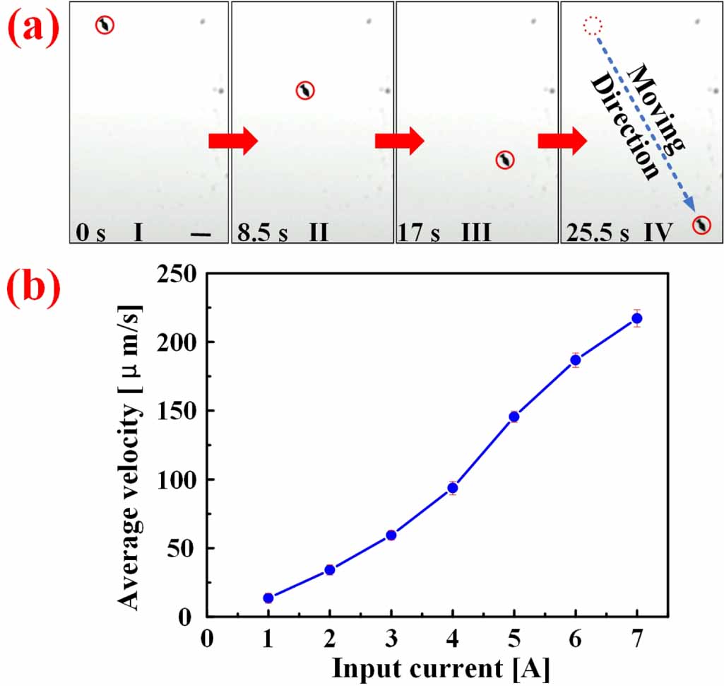 A dual-driven biomimetic microrobot based on optical and magnetic ...