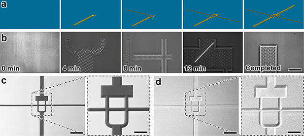 Integrated 3D printed microfluidic circuitry and soft microrobotic ...