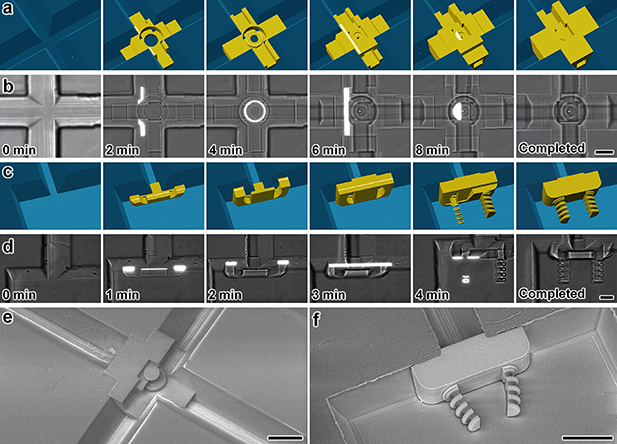Integrated 3D printed microfluidic circuitry and soft microrobotic ...