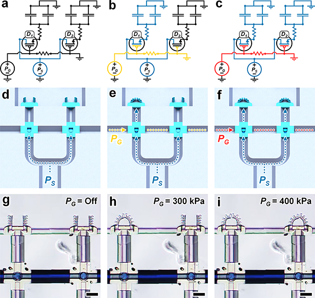 Integrated 3D printed microfluidic circuitry and soft microrobotic ...