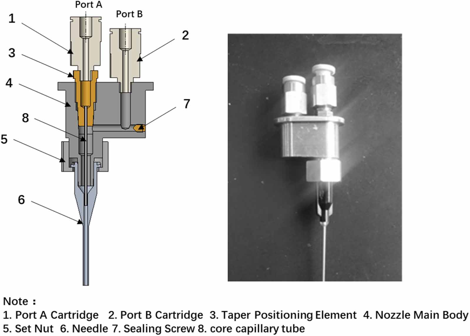 Optimization of the co-axial dispensing nozzle of a 3D bioprinter for ...
