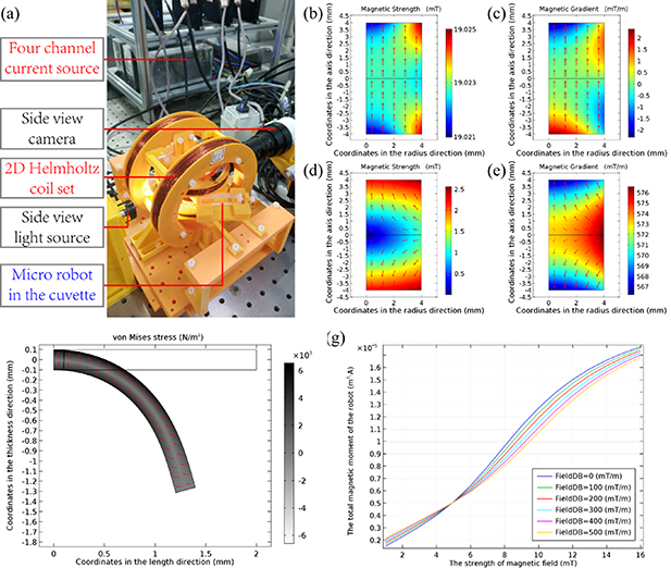 The multimodal motion along a solid–liquid interface of a soft ...