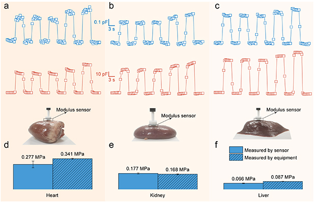 Highly sensitive flexible modulus sensor for softness perception and ...