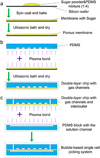 Development of a bubble-based single cell picking system - IOPscience