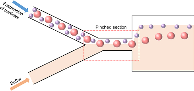 Extracting white blood cells from blood on microfluidics platform: a ...