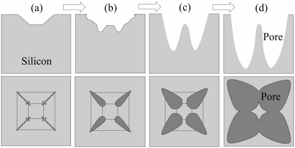 Fabrication of P(100) silicon macro-pore and pillar array by wet ...