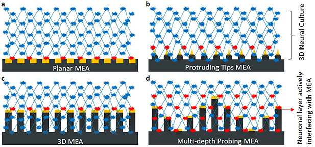 Development of multi-depth probing 3D microelectrode array to record ...