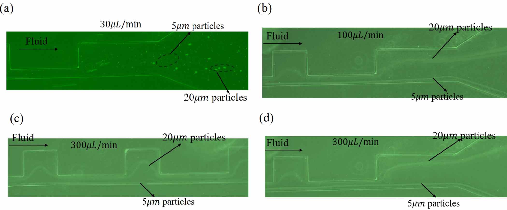 A sheathless high precise particle separation chip integrated ...