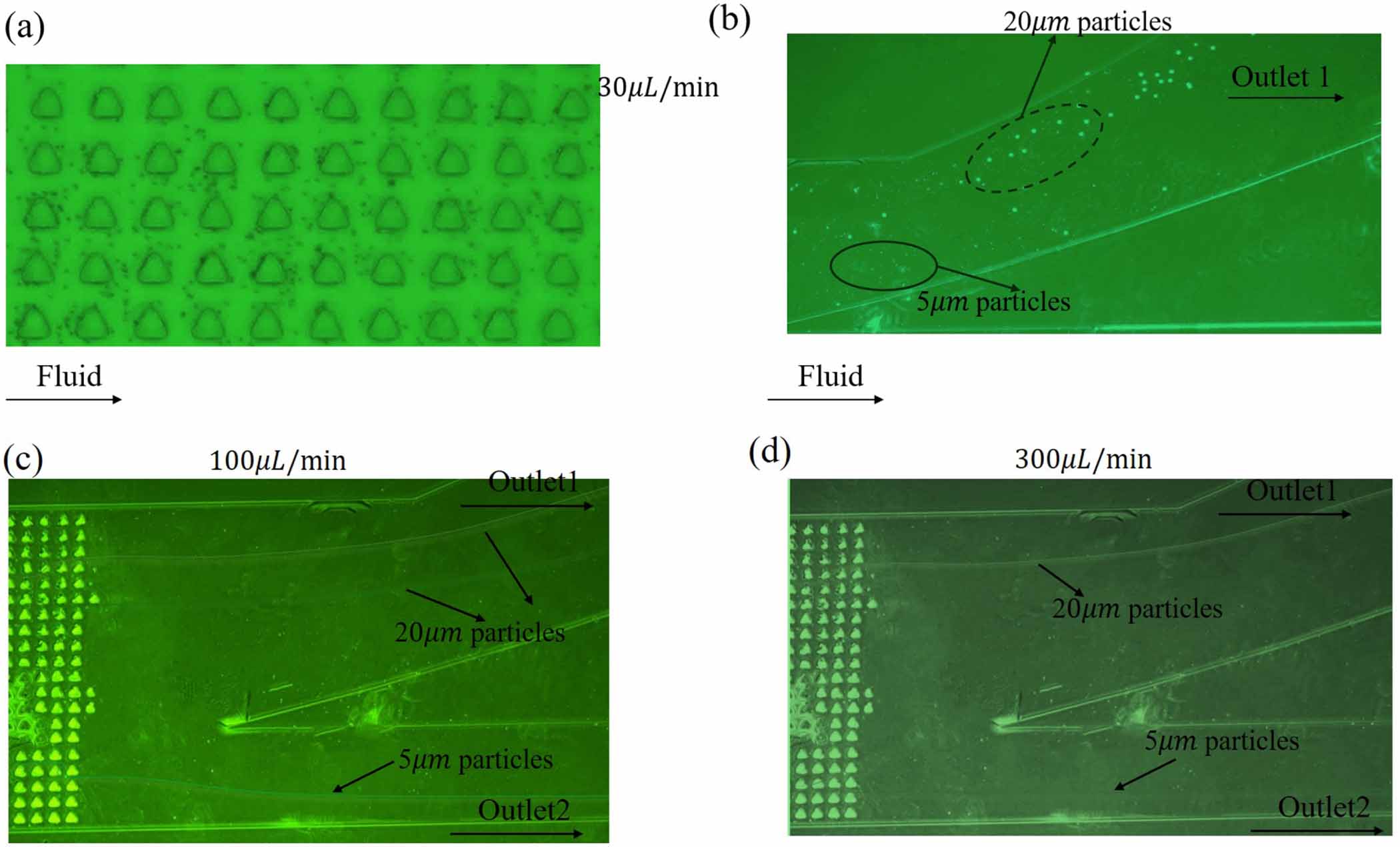 A sheathless high precise particle separation chip integrated ...