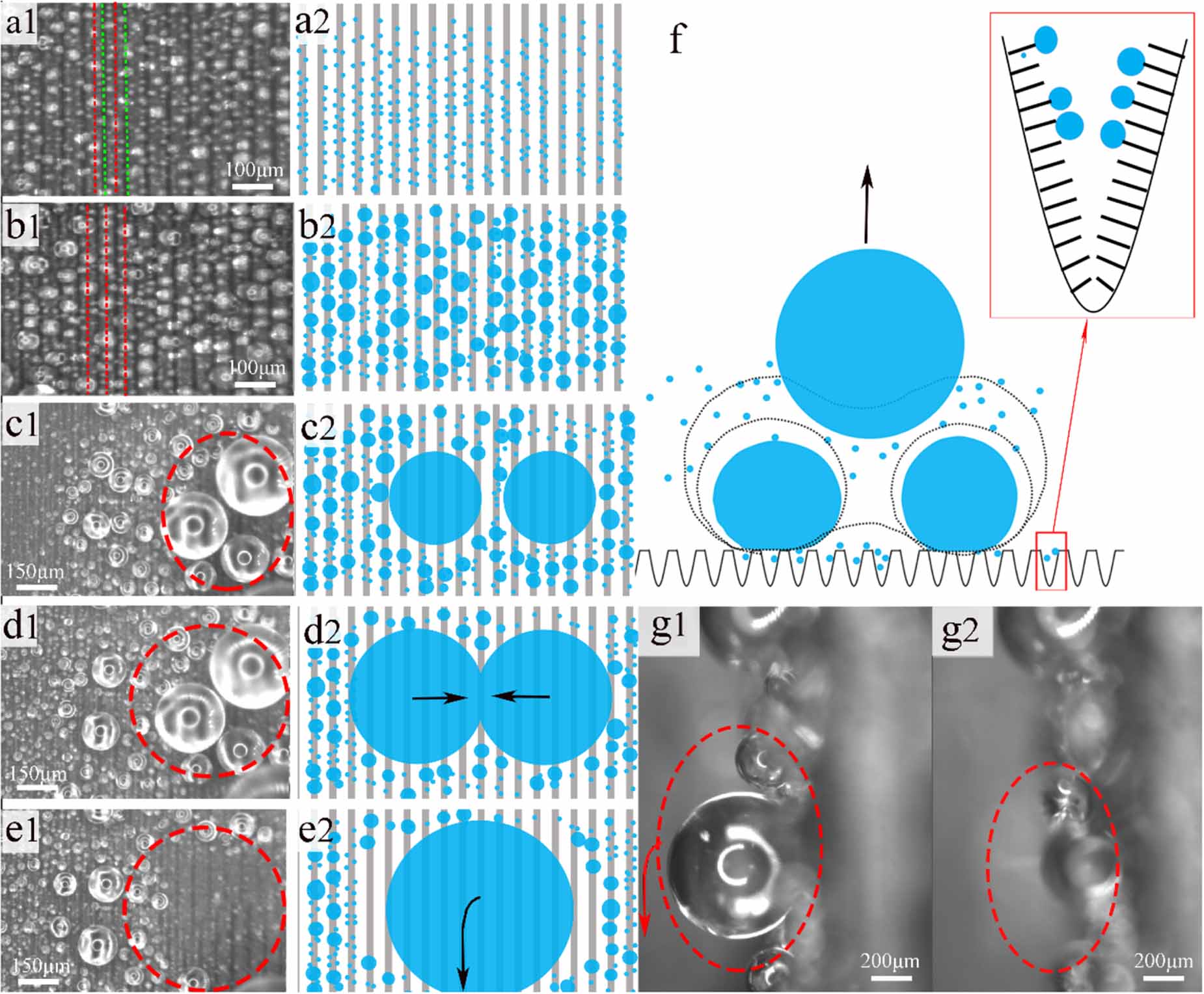 Efficient removal of condensate droplets from the surface with ...