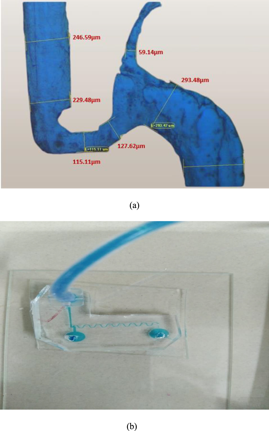 Design and fabrication of microfluidic devices: a cost-effective ...