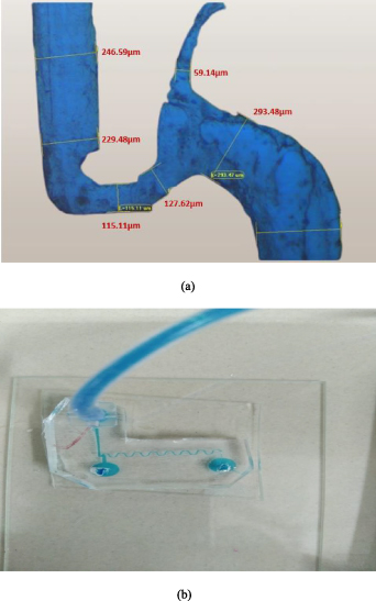 Microfluidic Test Rig Design and fabrication of microfluidic devices: a cost-effective ...