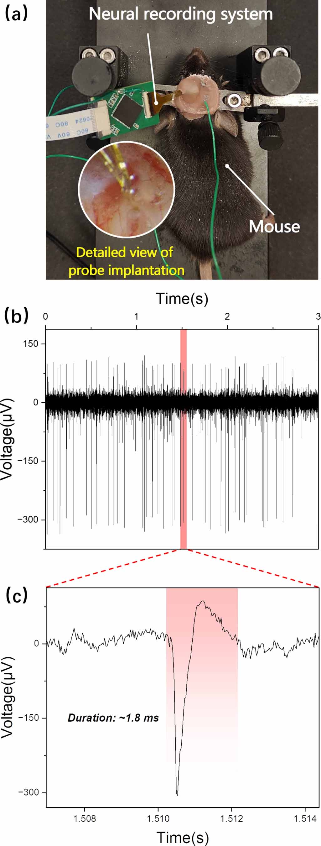 A heterogenous integrated neural recording system with elastocapillary ...