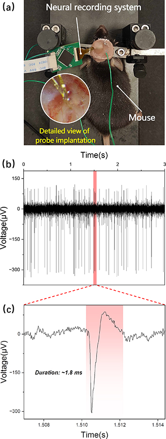 A heterogenous integrated neural recording system with elastocapillary ...